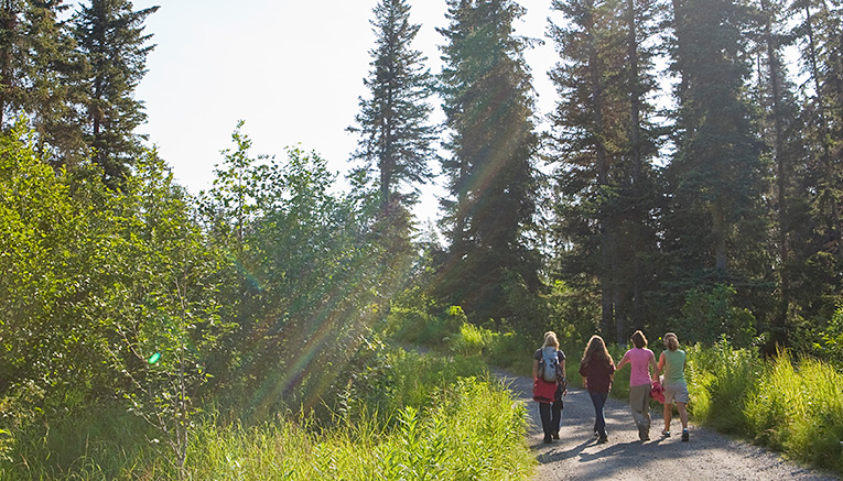 Malqf-alaska-multisport-1
